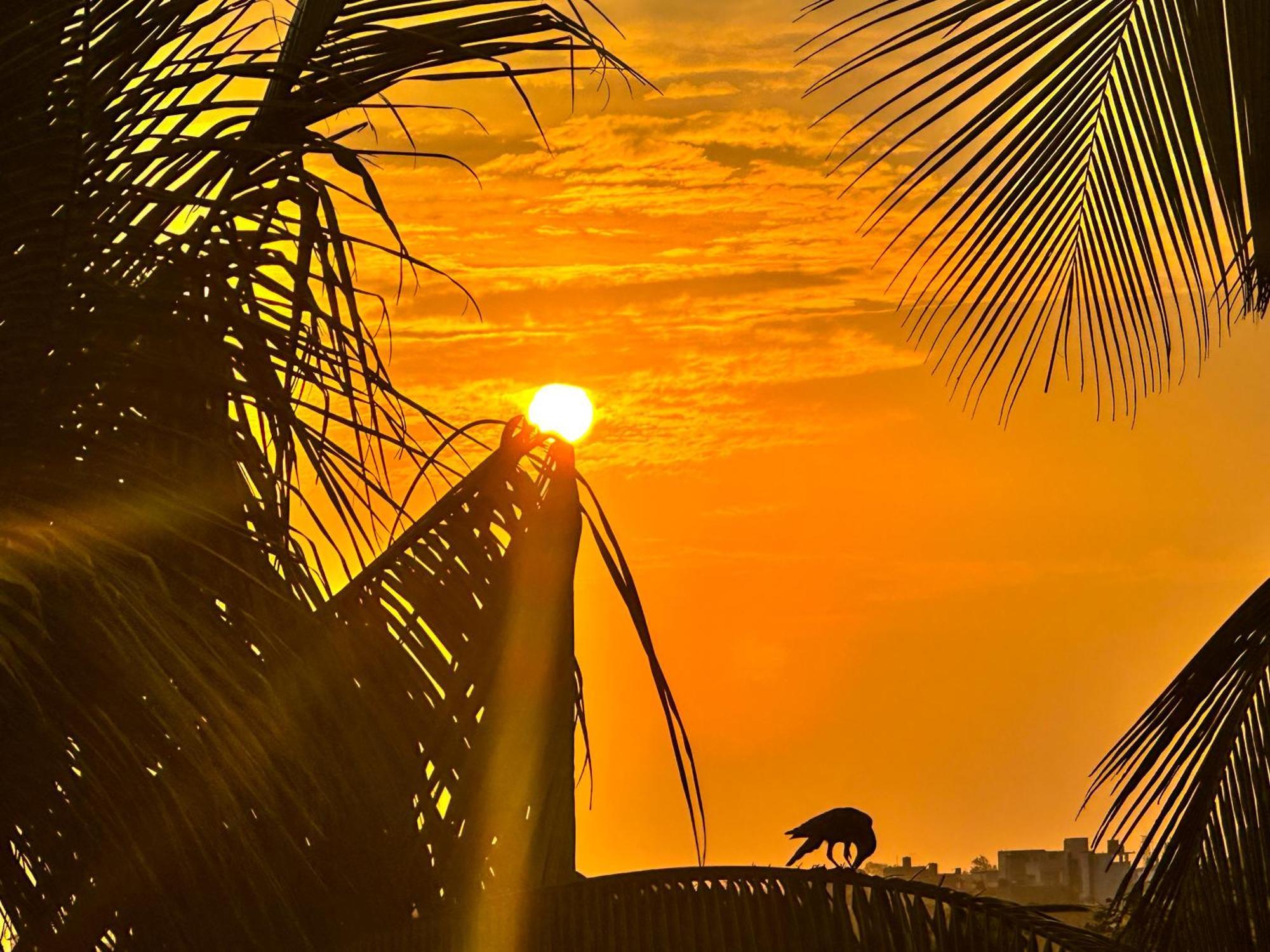 New Panda House Hotel Galle Buitenkant foto